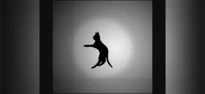 Is the spinning cat real?