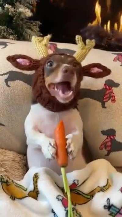 Rudolph the reindeer