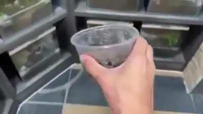 Posting SFW videos I found in NSFW Discord channels Day 109