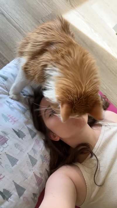 I’ve been infected with the cell