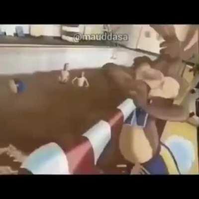 Nooo que ase conejo qliao