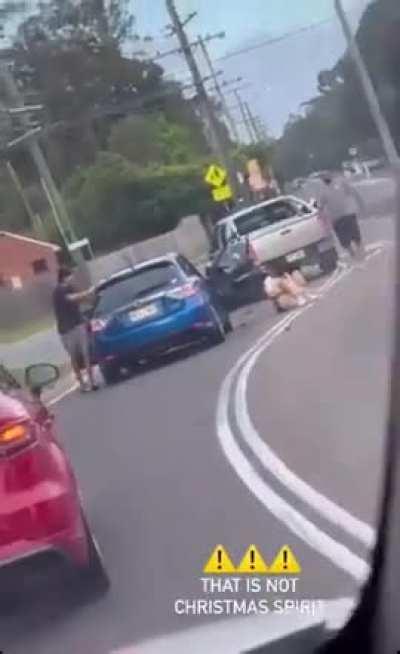 She threw a rock at his car so he ran over her legs.