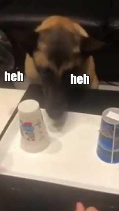 The Most Terrible Game