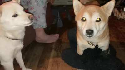 Ida Ho Moon Ki disagrees with her mother.