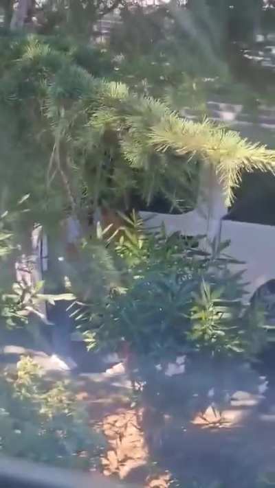 Busted and disgusted