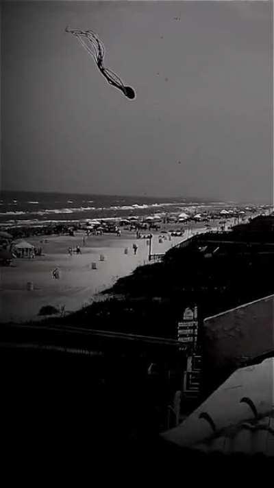 Just a day at the beach