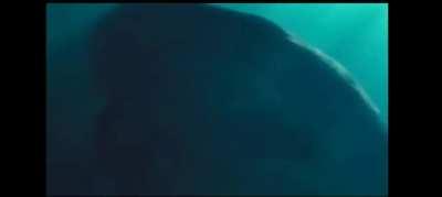 Top 10 Real Sea Monsters