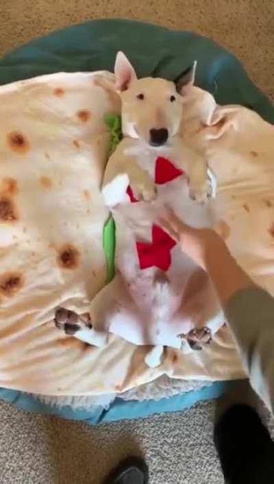 SiCk FuCk eAtS DoG AliVe