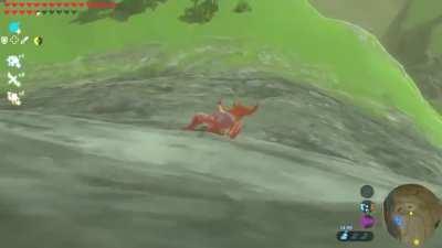 I only wanted to surf