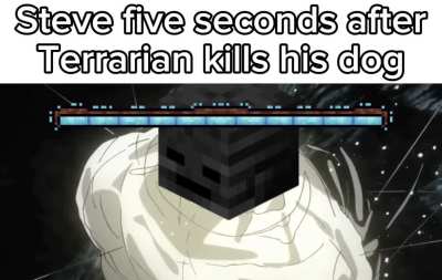 Steve Vs Terrarian in a nutshell 