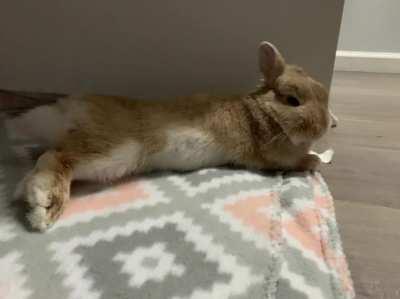 Should I get up? Nah