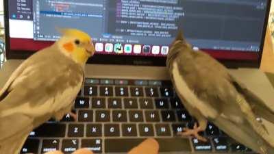POV: you're trying to make some small tweaks during code review