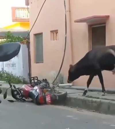 This motorcycle literally