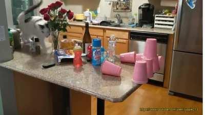 He couldn't resist knocking it over