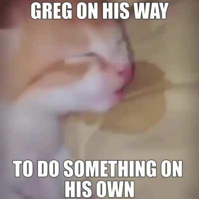 sucession has such great characters