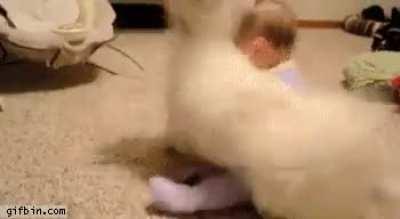 Dogs are so gentle with babies