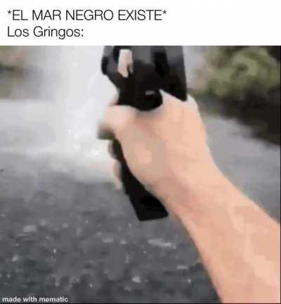 Is there a brown sea?