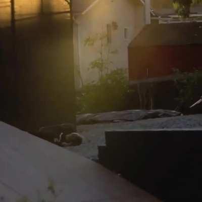 HMFT after I slay this ramp