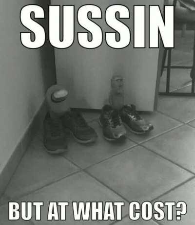 Sussin, but at what cost?