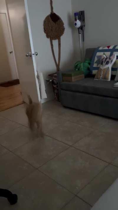 In her defense, she is blind. I say this is a win.