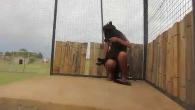 Black panther's reaction to seeing their favorite zookeeper