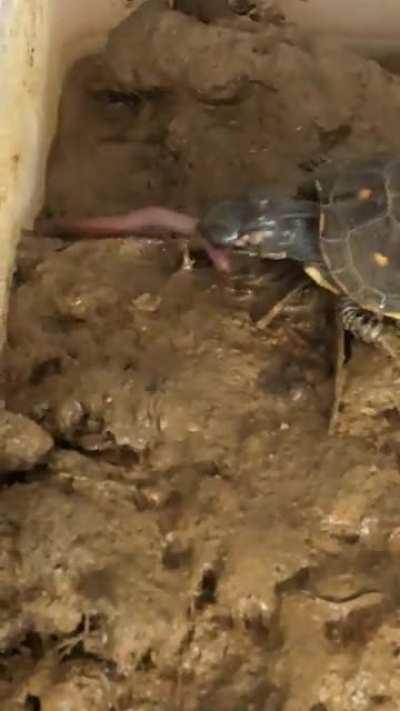 Lil’ Homie gets taken down....