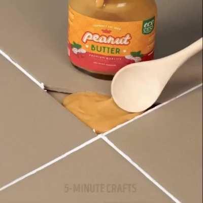 Ah yes, the old peanut butter on a tile trick.