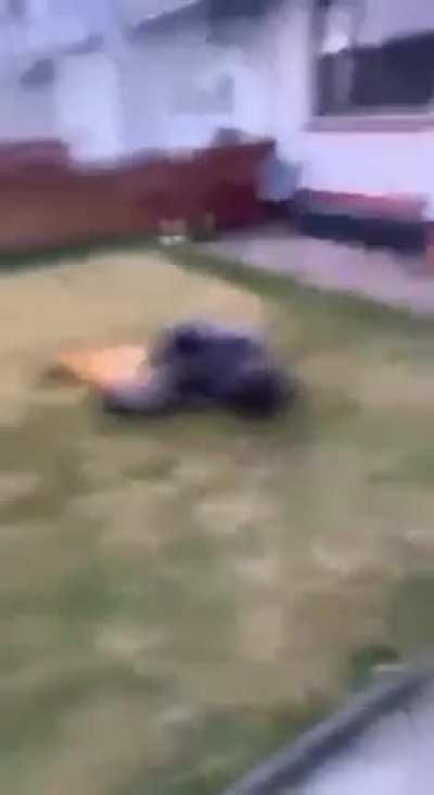 Jumping off the roof and into injury.