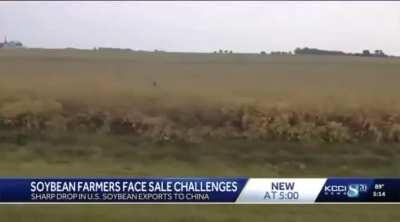 SOYBEAN FARMER🧑‍🌾 : “It’s not good for anybody. Best case scenario is we never have to talk about tariffs again. Free trade is the answer.”

China is now buying $0 from us — and soybeans are Tennessee’s #1 cash crop. Why don’t 
Governor Bill Lee, Marsha B