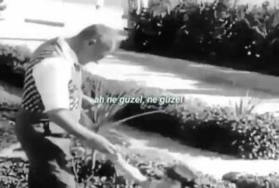 Ah ne güzel ne güzel seni sevmek.....