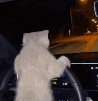 I AM NOW OFFICIALLY LICENSED