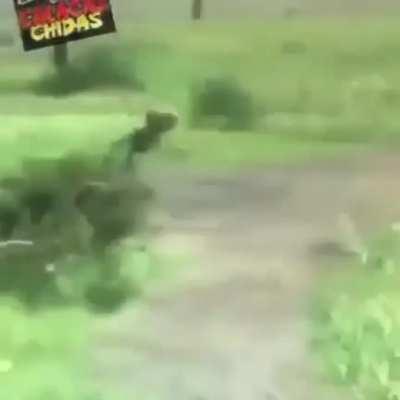 Taco alien ??? 😱😱😯😱😯😯😯😱😯😱😯😱😯😱😱😱