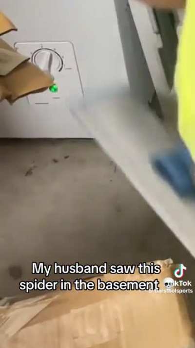 Errrkek adam eline alır