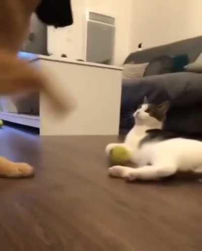 This is mine!! Not yours!