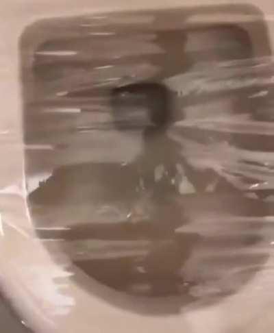 the experiment failed