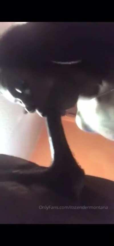 This bitch so ugly to me she can suck a dick though