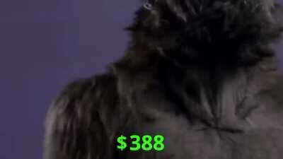 🎵🥁🦍 I can feel it coming in the air tonight... HODL ON 🎵🥁🦍