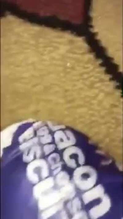 Lemme know if yall fw the good eats