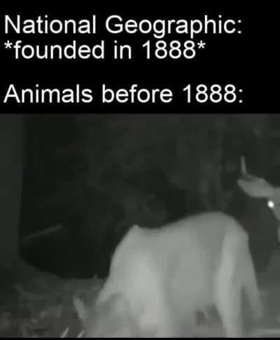 They lived in harmony before