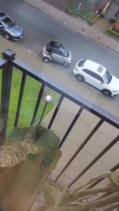 Driving just isn't for everyone🤣