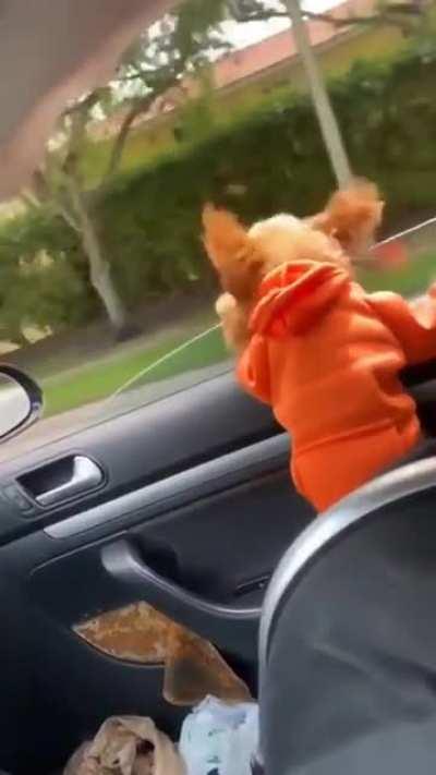 Red bull gives you heartburn ...