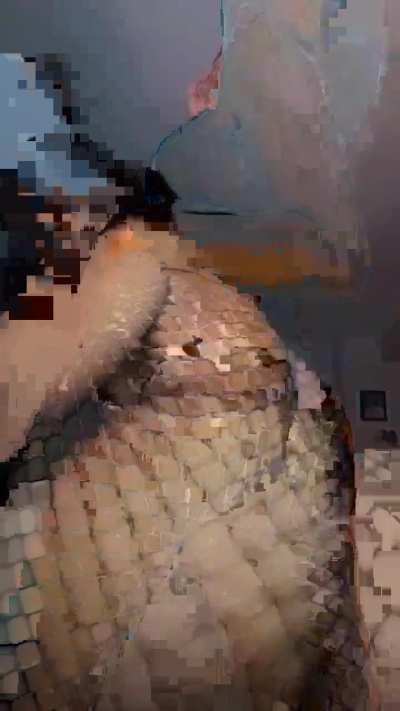 The Puerto Rican Princess Shaking Her Perfect Ass 🔥🔥🩷🩷💯💯😛😛