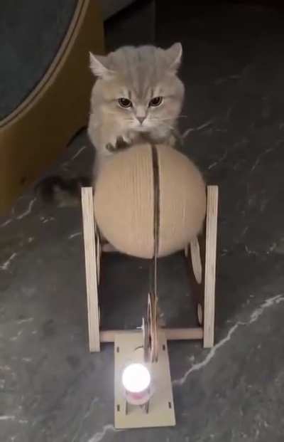 He doesn't pay his rent, so used him to generate electricity.