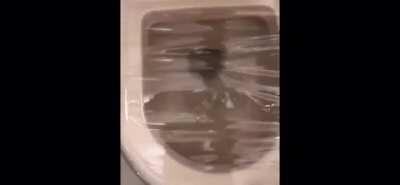 Testing the prank set up