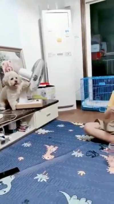 Excuse me. Can I get a little of that?