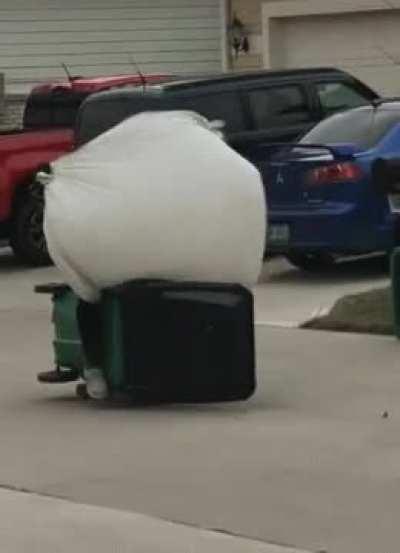 150 some days of quarantine and this madlad is riding around on a trash can.