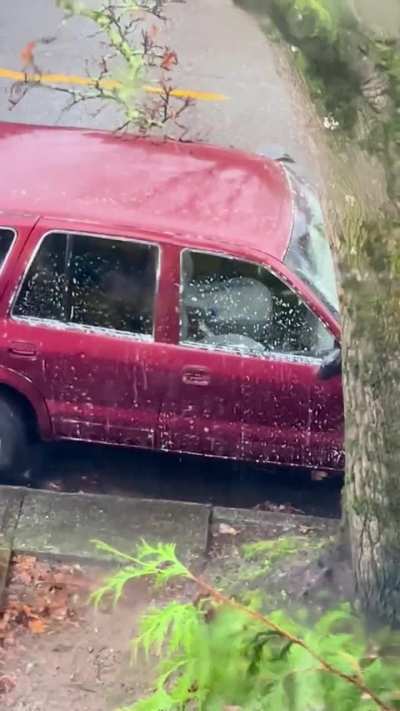 Washing his car in a rain storm, under a tree…