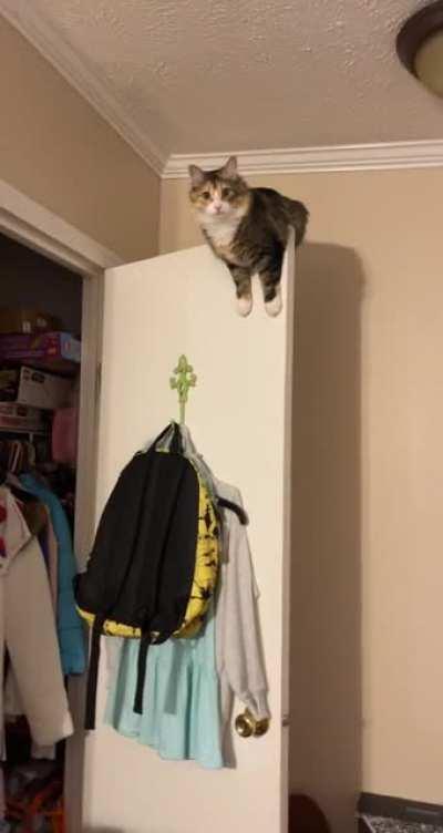 I named her Harley after Harley Quinn because she has always been feisty.