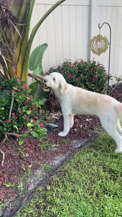 Landscape worker for hire…