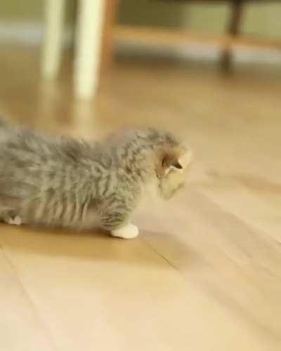 I feel like this fits here